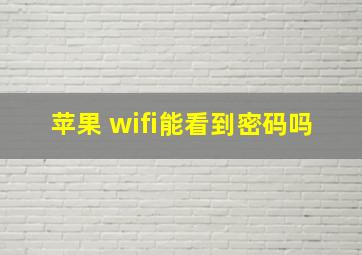 苹果 wifi能看到密码吗